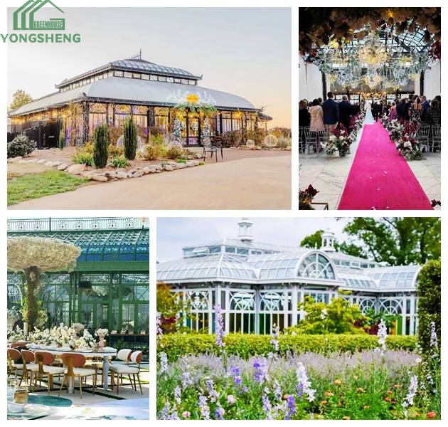 The Growth Logic Behind The Breakthrough Of 300 Billion In The Scale Of Greenhouse Market